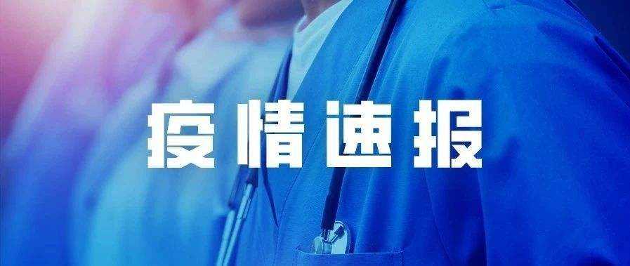 全國(guó)最新疫情通報(bào)，最新數(shù)據(jù)與觀點(diǎn)分析
