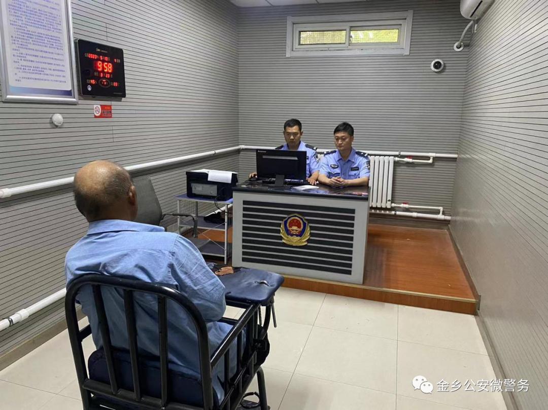 金鄉(xiāng)大蒜行情更新，勵志故事背后的蒜瓣之旅