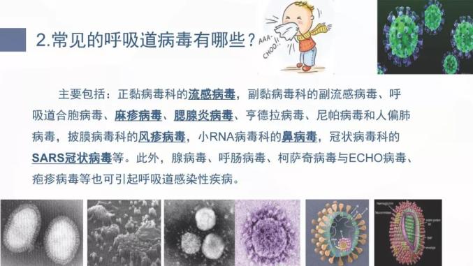 最新肺炎病原探討，一種觀點(diǎn)闡述