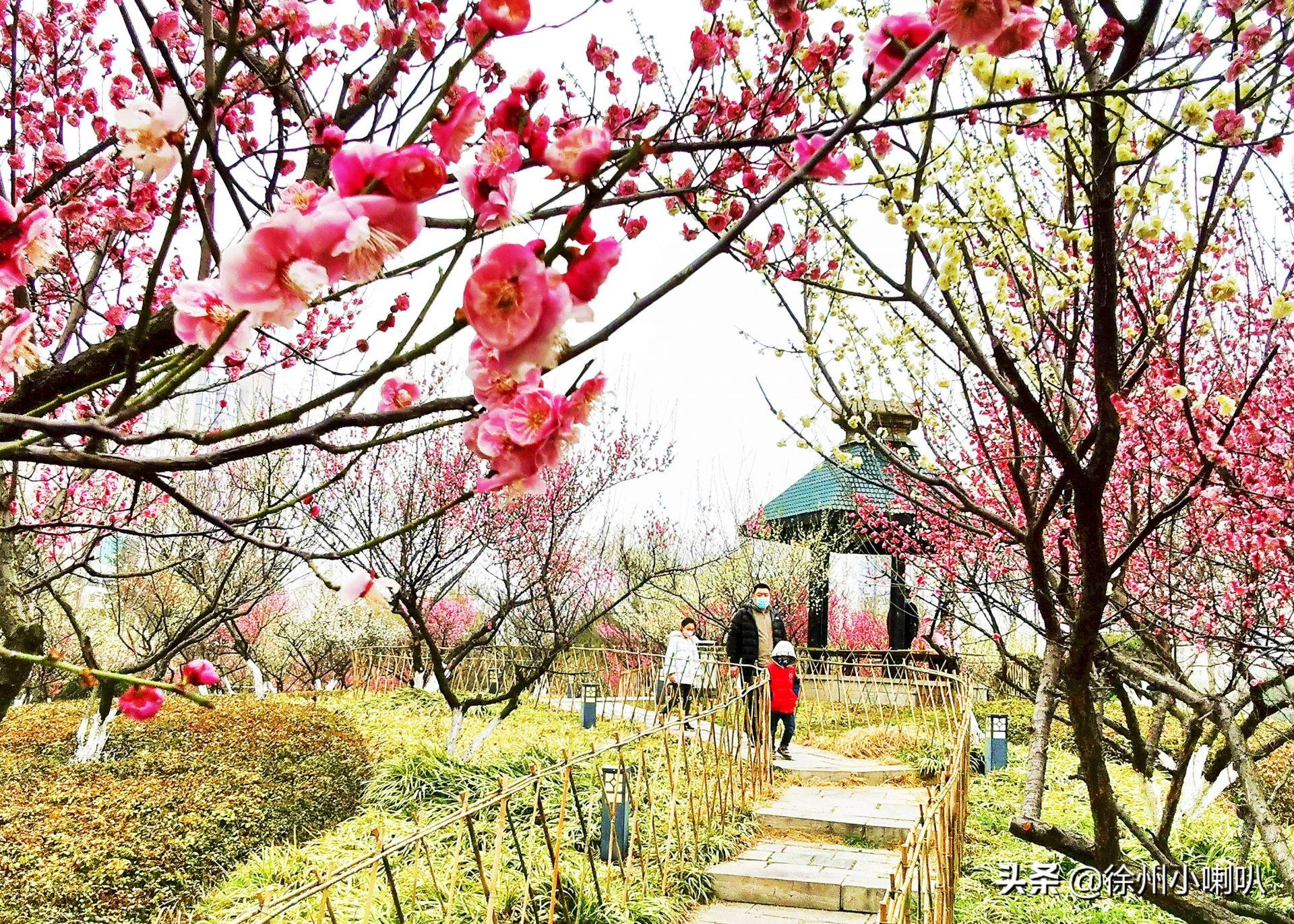 新沂疫情下的自然探索之旅，尋求內(nèi)心的寧?kù)o與平和