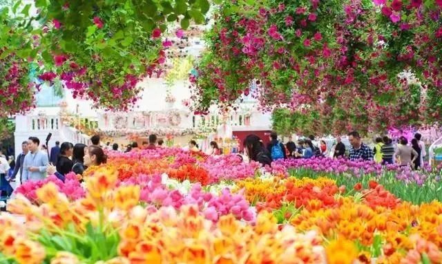 廣州花海，最新綻放的絢麗與都市魅力
