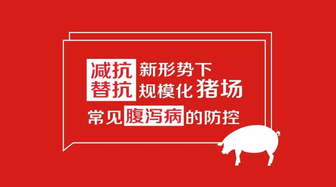 替抗最新操作指南，詳細步驟與操作說明