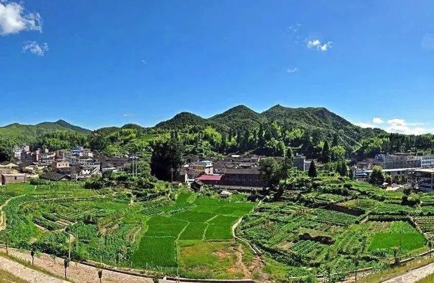 南平林最新探索，自然美景的輕松之旅