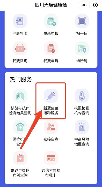 聚焦體育新星，新冠軍的閃耀時刻