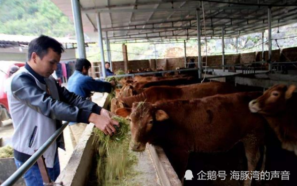 螺桿塑料擠出機(jī) 第44頁