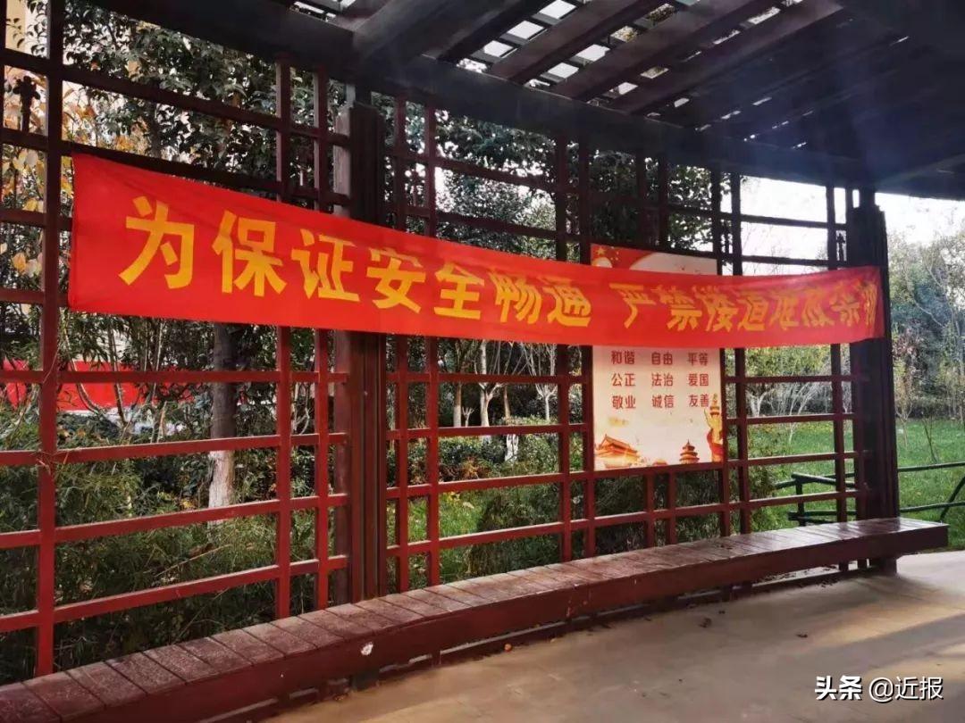 電信催繳最新動(dòng)態(tài)，小巷深處的獨(dú)特電信小店探秘